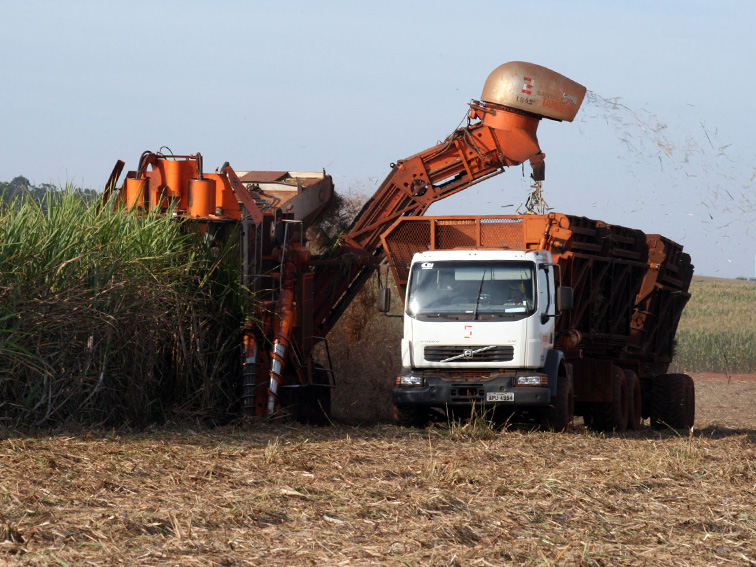 Agropecuária Polegatto